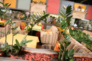 #Мамаслёт рекомендует: Pesto Cafe, семейный ресторанчик возле дома