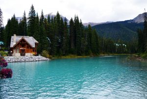 Дружная диаспора, чистый воздух и питьевая вода из-под крана. Как живется украинке с семьей в Канаде