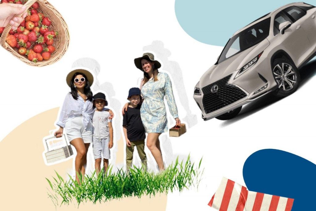 Тест-драйв LEXUS RX 450h в непринужденной обстановке и клубничная ферма